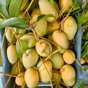 কাটিমন আম 10kg