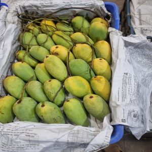 কাটিমন আম 12kg